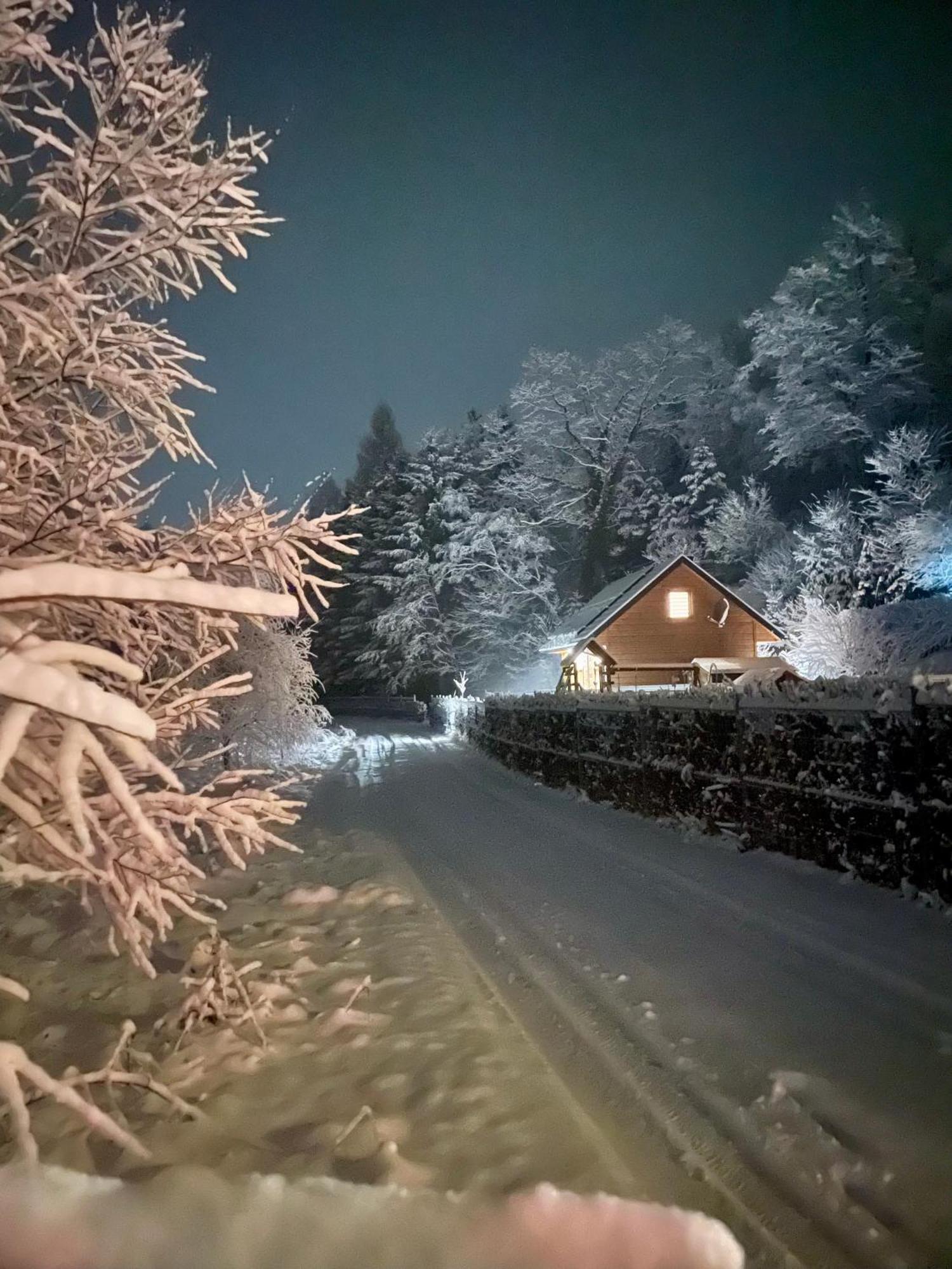Chatka Dziadka Sudety Stronie Śląskie Exteriér fotografie